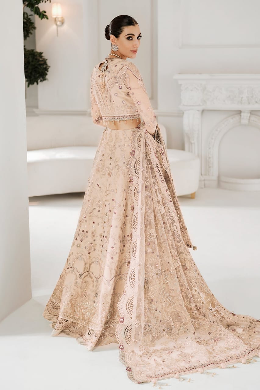 Soft Focus Party Wear - SUNNY Embroidery Creations