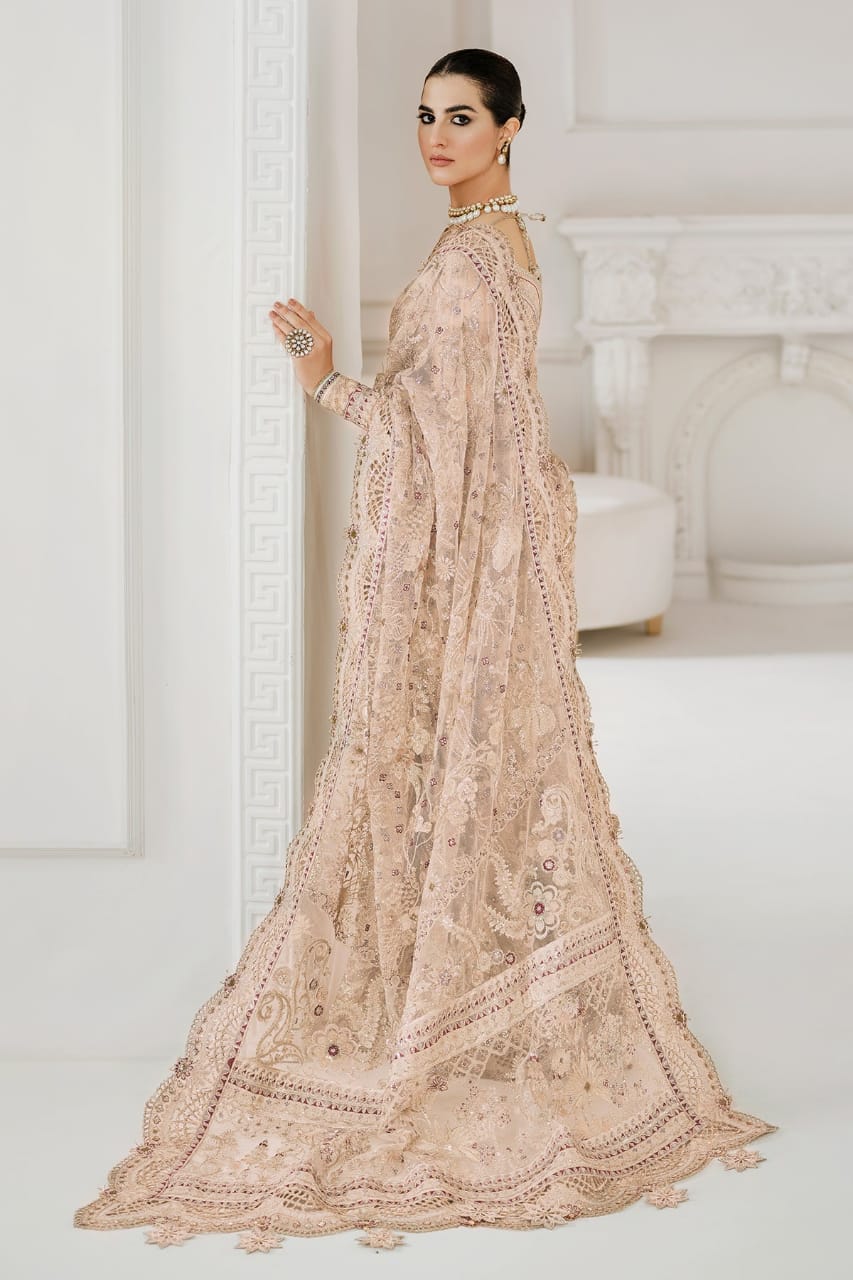Soft Focus Party Wear - SUNNY Embroidery Creations