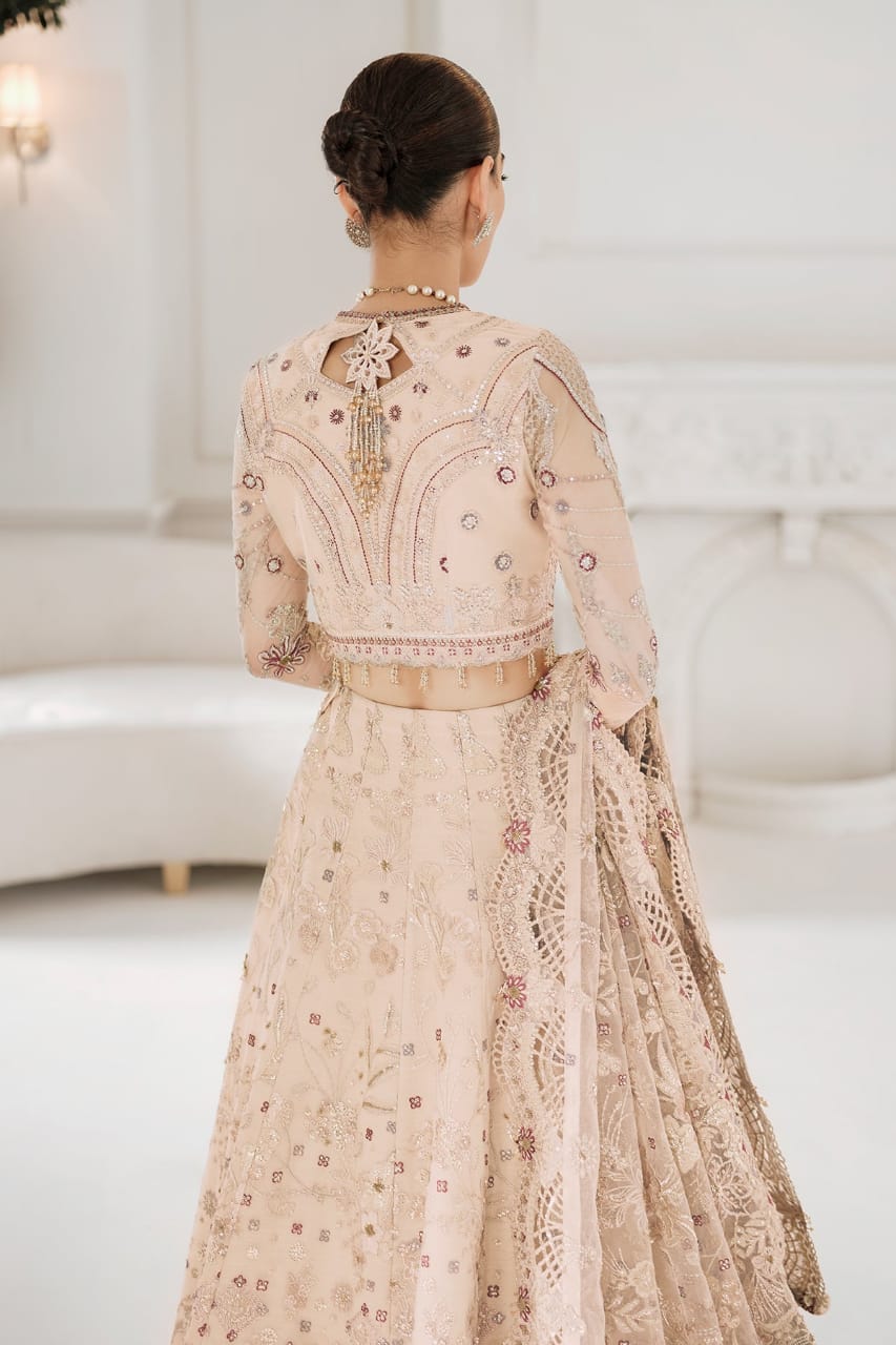 Soft Focus Party Wear - SUNNY Embroidery Creations