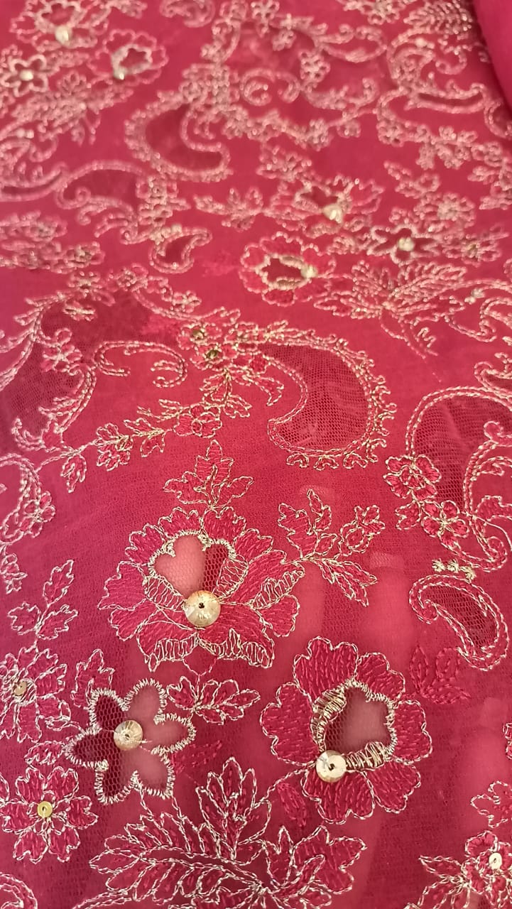 Blushing Beauty Party Wear - SUNNY Embroidery Creations