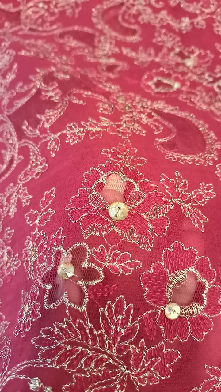 Blushing Beauty Party Wear - SUNNY Embroidery Creations