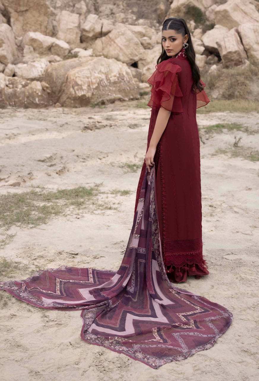 Chikankari Chic