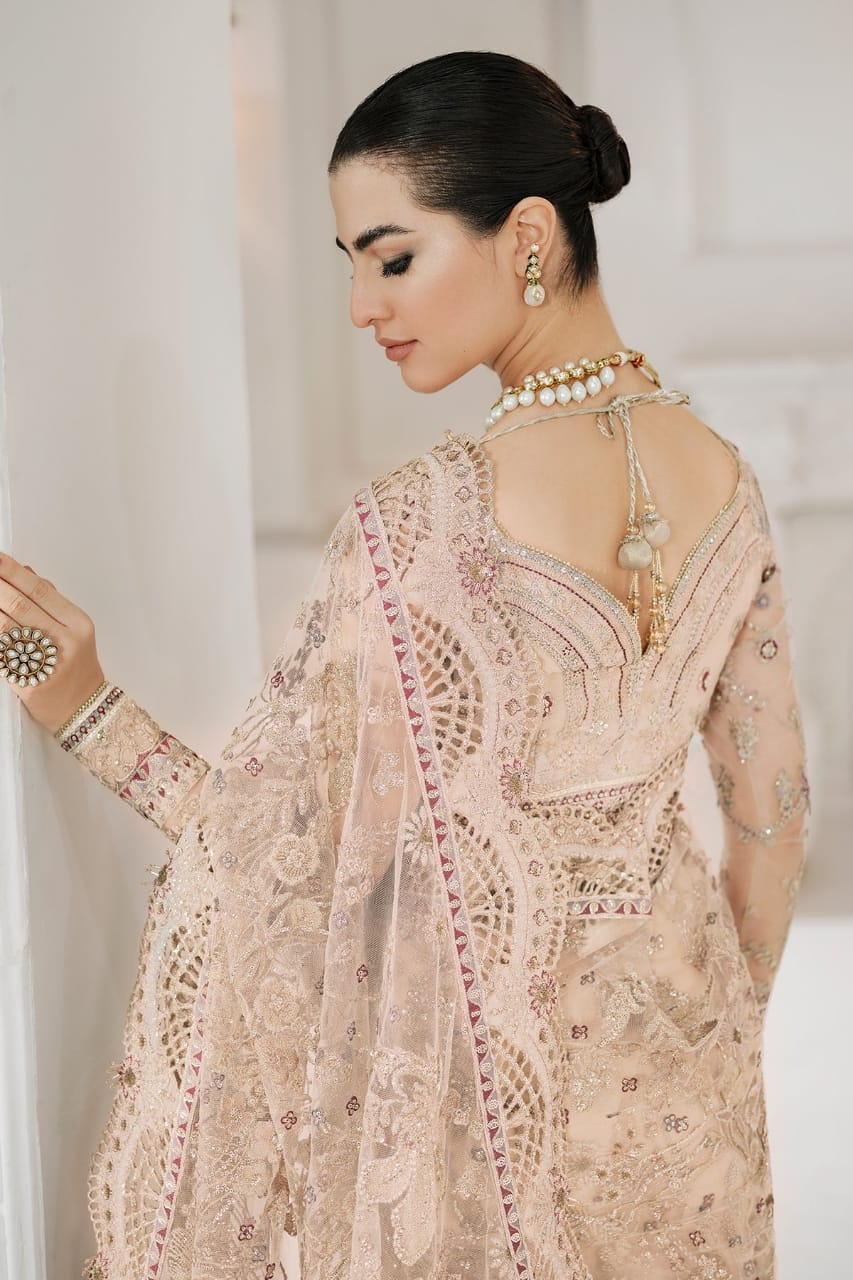 Soft Focus Party Wear - SUNNY Embroidery Creations